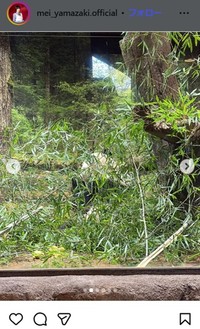 山﨑愛生のインスタグラム＠mei_yamazaki.officialより