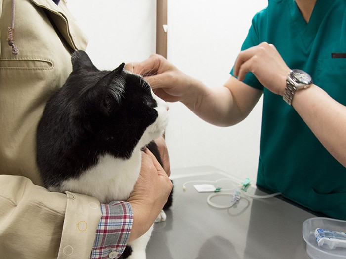 「ちょっと！ちょっと！先生何すんの」（小林写函撮影）
