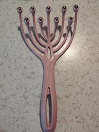 確かにこれはミギー寄り…（逆佐亭裕らくさん提供）