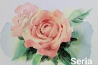 100円ショップの水彩絵の具で描いたバラの花（提供：小野月世さん）
