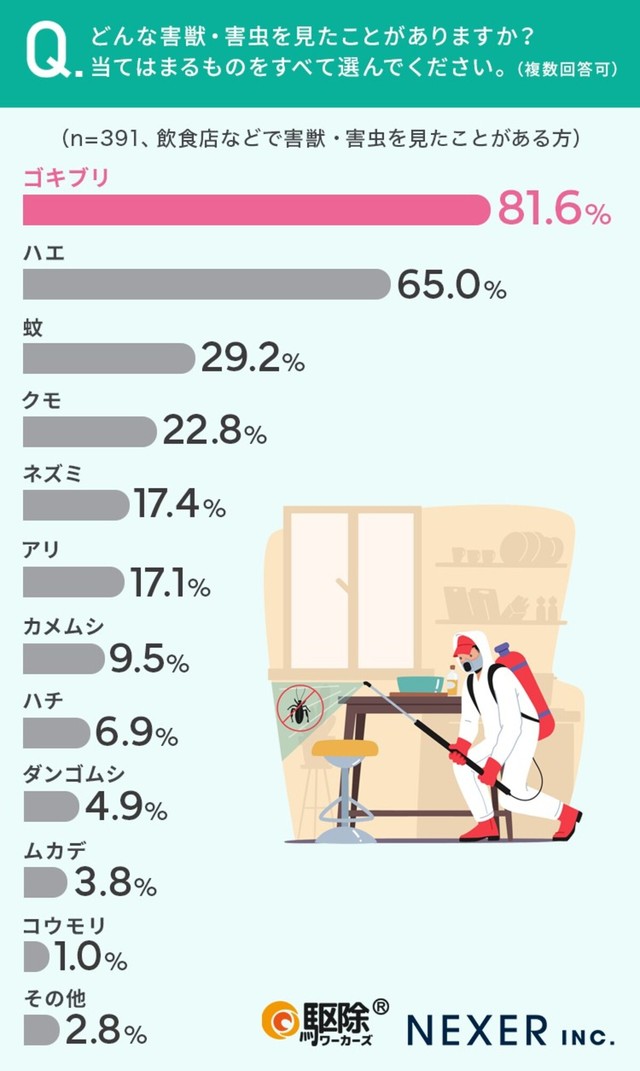 飲食店で見た害獣・害虫（提供画像）