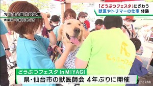 ３連休最終日　どうぶつフェスタ　ｉｎ　ＭＩＹＡＧＩ　仙台市