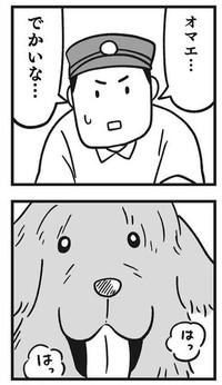 ある日突然落とし物として届いた大きな犬（しろやぎ秋吾さん提供）