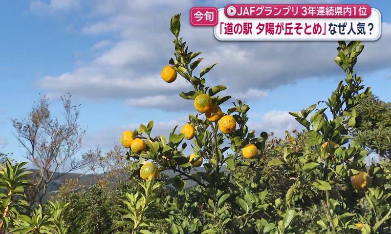 JAF会員が長崎県1位に認定 絶景＆グルメが楽しめる人気スポット