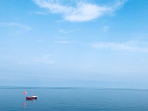 変わっていないようで変われていた4年間。後悔しない歩みを選択する