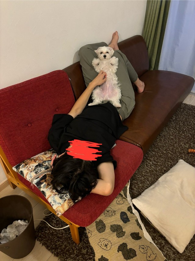 横になると一緒にお腹を出してゴロゴロするほたてくん（提供：ほたてさん）