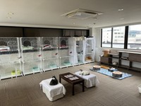 FIVキャリアのためのシェルター「もりねこプラス」