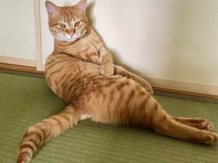 家族のみんな、これからもよろしくね