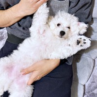 2025年1月、生後3カ月になったムーンちゃん（画像提供：めろみちゃんとむんちゃんさん）