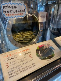 こちらがハブ酒の仕込みタンク（Sleep Deeplyさん提供）