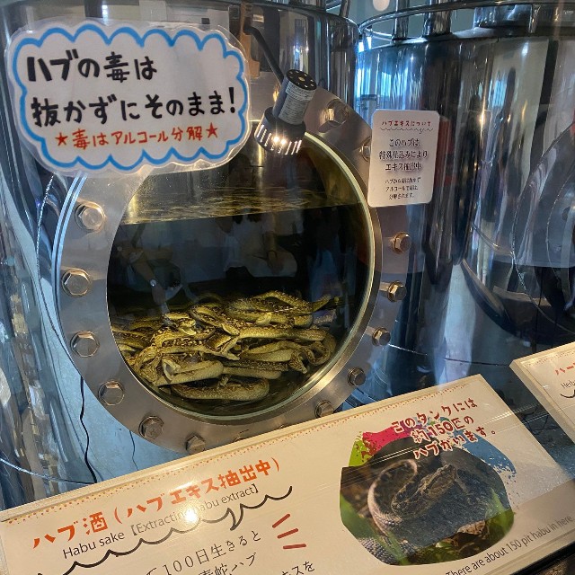 こちらがハブ酒の仕込みタンク（Sleep Deeplyさん提供）