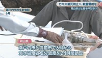瀬戸内市邑久町虫明 6月