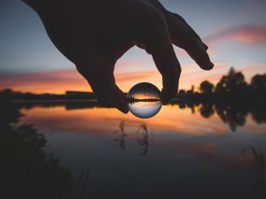 級友の死にも、愛犬の死にも。「賢い人たちの悼み方」ができなかった