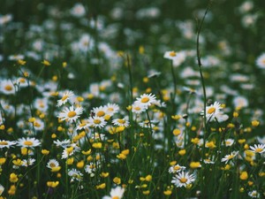 いつか大きくなったあなたに言いたい話