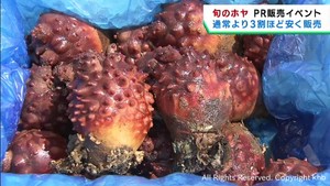 旬を迎えた宮城県産ホヤをＰＲし販売　石巻市