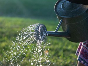 「もう少し太くてもいいのに。癖がある髪も好きだよ」と言う彼と出会って