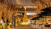 静岡県御殿場市（提供画像）