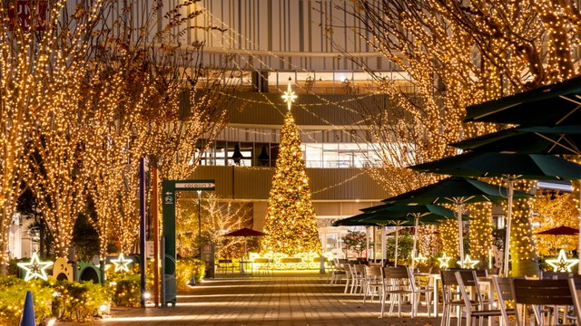 静岡県御殿場市（提供画像）