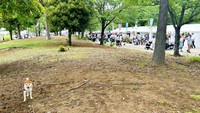人混みを避けてーーにっこり笑顔のもにちゃん（画像提供：しょんぼり顔のもにさん）