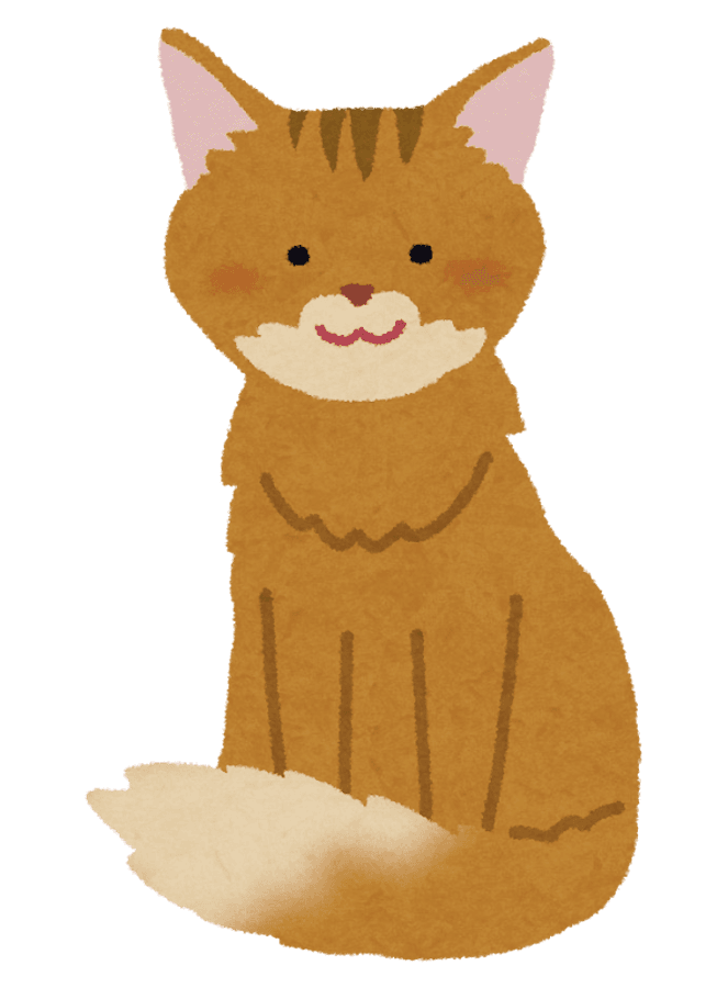 可愛い愛猫とお出かけしたい、見せびらかしたい、という気持ちはわかるけど……