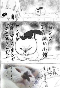 【漫画】「犬と猫どっちも飼ってると、犬の天使ぶりと猫の鬼畜ぶりとで毎日たのしい。」