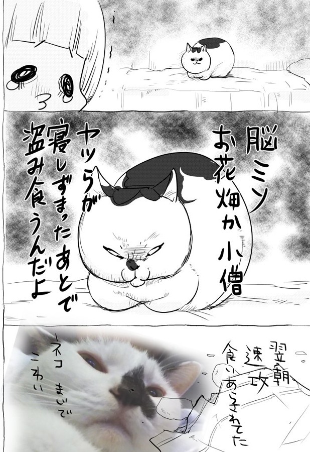 【漫画】「犬と猫どっちも飼ってると、犬の天使ぶりと猫の鬼畜ぶりとで毎日たのしい。」