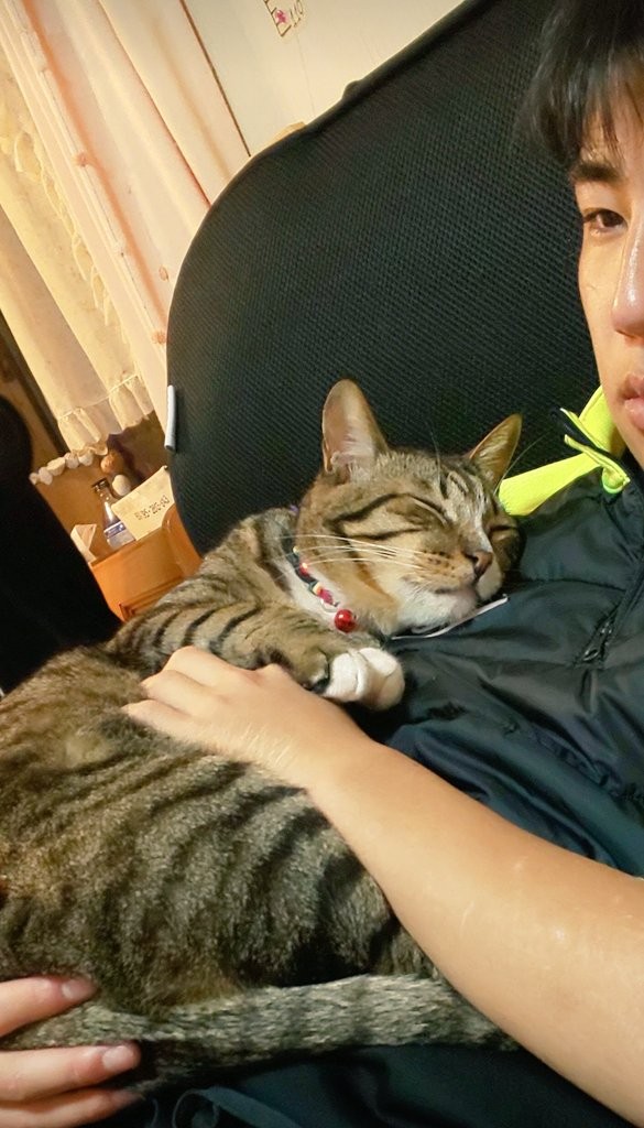 マルちゃんはお兄ちゃんが大好き＝nyaokoさん（@naokowatanabe5）提供