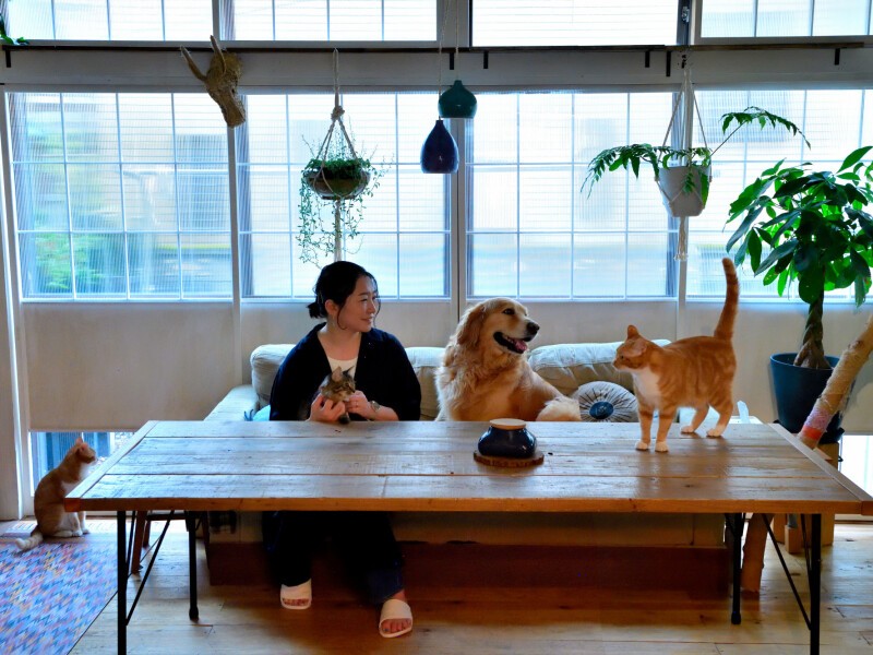 たっぷりと光の入る窓も、大きな机も手作り。かじられそうな植物は吊るす。