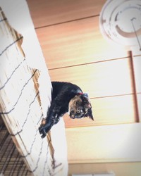 この位置からお母さんのお腹にダイブ！！