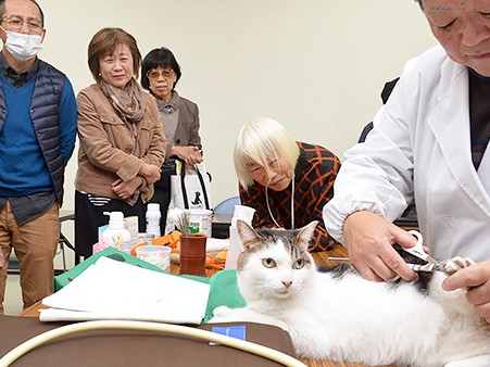 老いた愛犬愛猫の介護方法を学ぶ　飼い主向け教室
