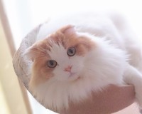 １番目力があった、元気だった頃。たくさんの思い出を家族で作ってきた