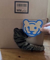 あれ？思ってたんと違った……（画像提供：宗方脩さん）