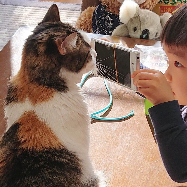 きれいに撮ってニャ