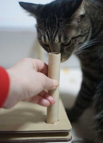 もう少し奥にいれてみようか