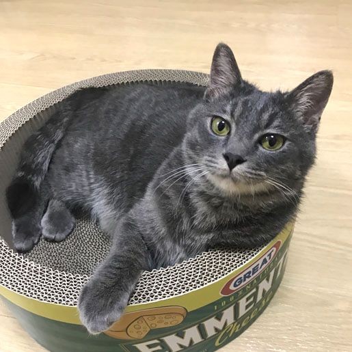 「いろいろあったからこそ、支え合いたいんだ」