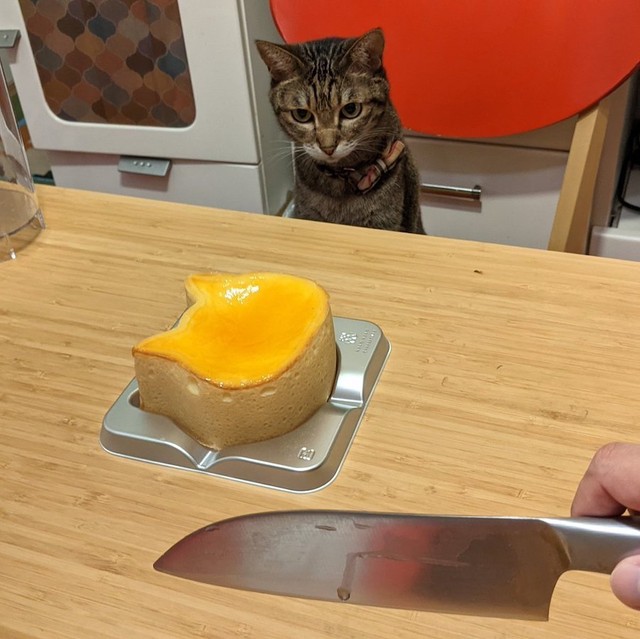 猫じゃないよ！ケーキだよ！切りづらいよ！（提供：いきさん さん）