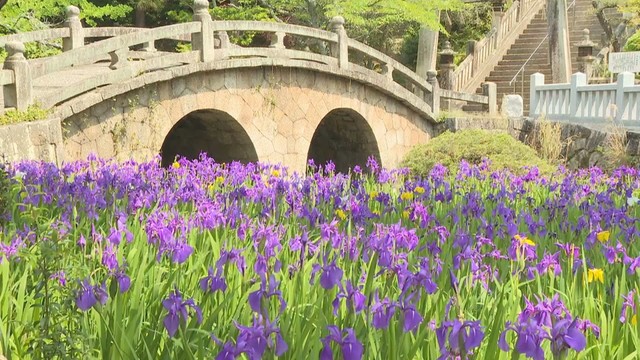 菅原神社　笠岡市吉浜　12日