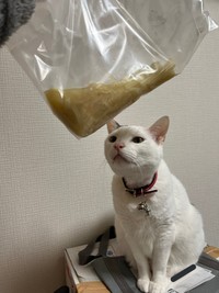 肉団子と切り干し大根の味噌うどん（QPさん提供）