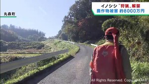 農作物被害を及ぼすイノシシを減らす　宮城県で狩猟が解禁に