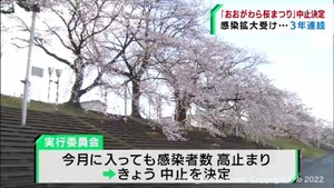 宮城・大河原町「おおがわら桜まつり」３年連続の中止が決まる