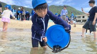 「大きくなって帰ってきてね」子どもたちがヒラメの稚魚を放流　高松市の海岸