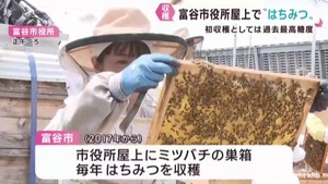 はちみつを市役所屋上で収穫　宮城・富谷市の新たな特産品