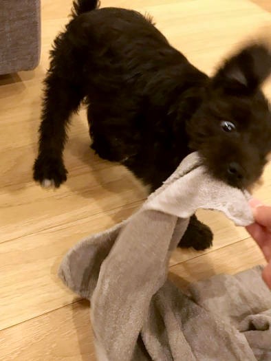 この写真のブレが激しさを物語っているよう（お母さん提供）