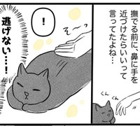 撫でても逃げない！嬉しい！（イゴカオリさん提供）