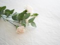 母の死からの12年は、悲しみとどう向き合うか考え続けた日々だった