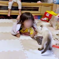 お姉ちゃんと遊ぶステラちゃん（画像提供：葉山あかね 2y 双子さん）