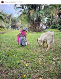 萬田久子さんのインスタグラム、2025年11月20日の投稿から