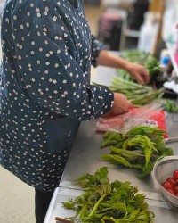 たくさんの山菜はおばあちゃんたちお手製の漬物や副菜に（グランマさんInstagramより）