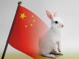 中国、輸入化粧品への動物実験義務付けを緩和　その展望は？