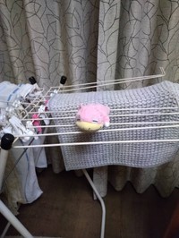 じいじからの2枚目。タオルやマットと一緒にヤドンも干されている！？（ミントさんXより）